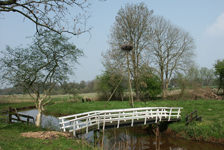 Lots of local countryside walks