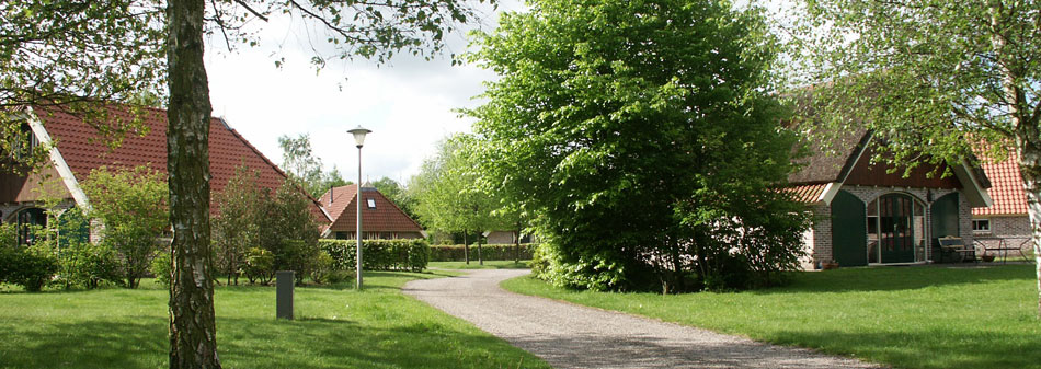 The Park